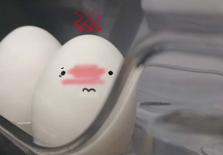冷蔵庫が冷えない