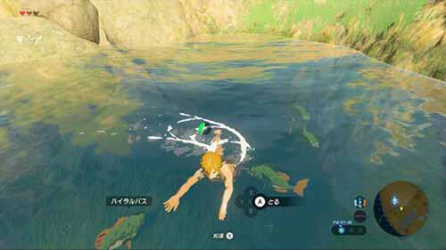 ゼルダの伝説 ブレス オブ ザ ワイルド プレイ画像