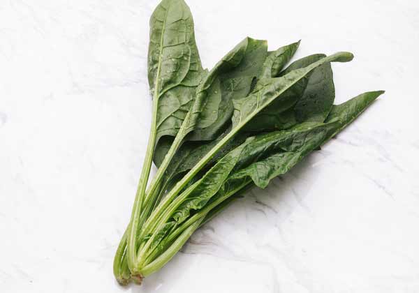 ほうれん草