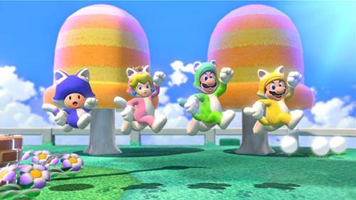 スーパーマリオ 3Dワールド+フューリーワールドのプレイ画像