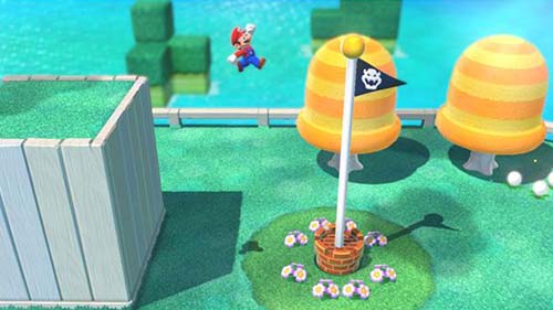 スーパーマリオ 3Dワールド+フューリーワールドのプレイ画像