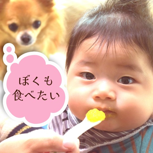 離乳食はなぜ必要なのか?