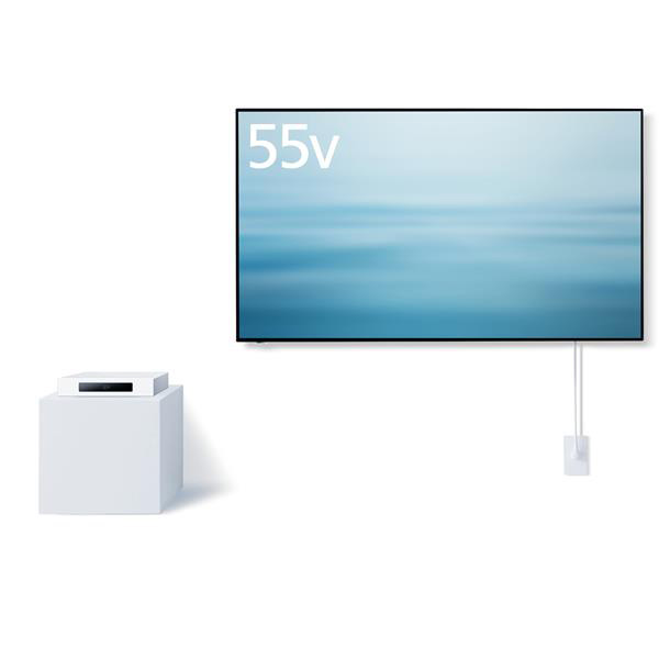 パナソニック TH-55LW1L 商品コード:4549980705889