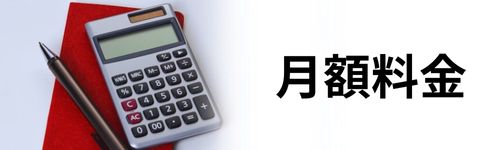 月額料金(実質料金)