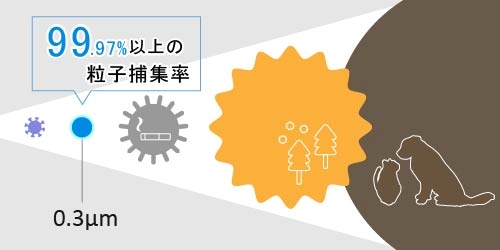 フィルターはHEPAフィルター搭載モデルがおすすめ
