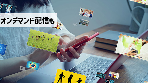 見逃しオンデマンド配信も!
