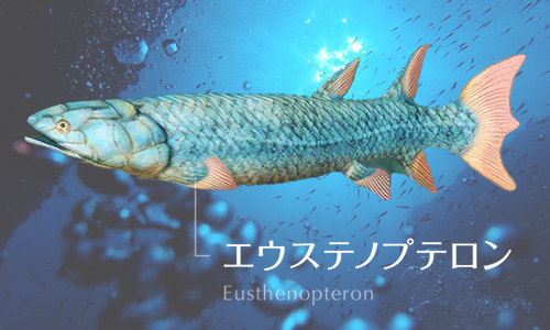 エウステノプロテン