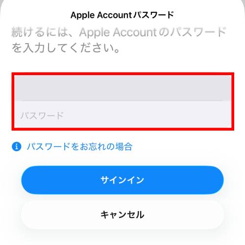 Apple Accountのパスワードを入力