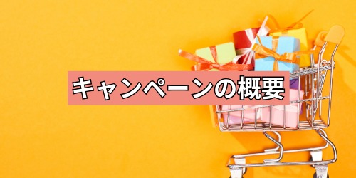 キャンペーンの概要
