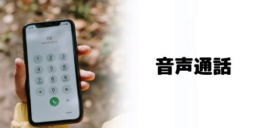 スターリンクで音声通話できる?