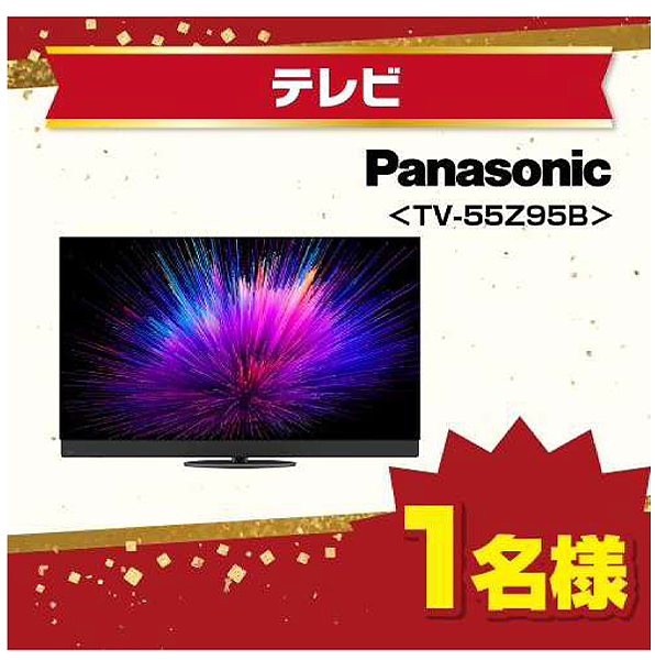TV-55Z95B