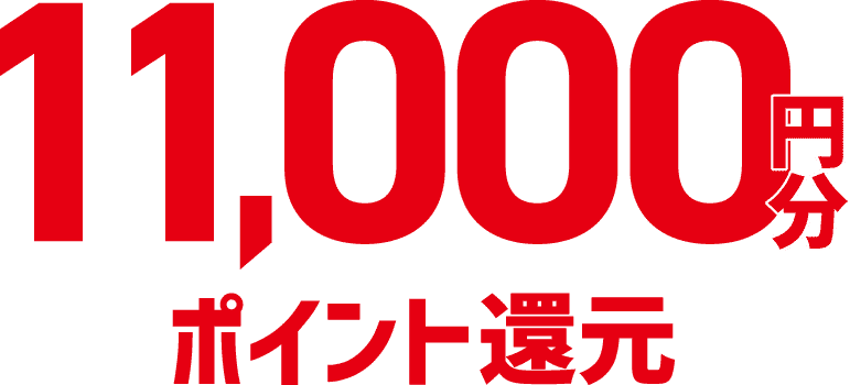 11,000円分ポイント還元